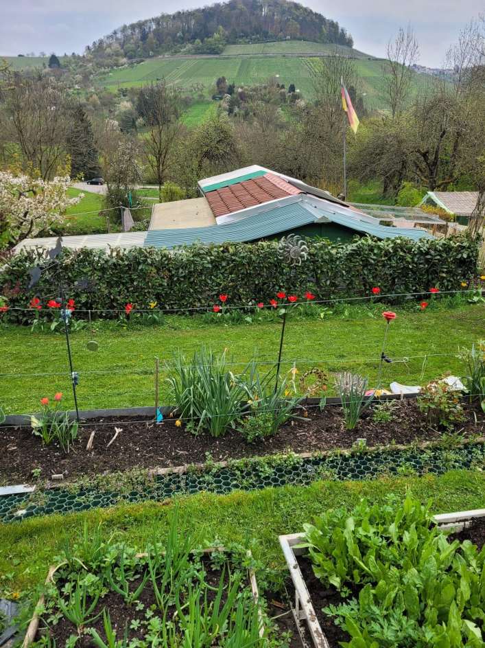 Grundstück in Winnenden (Winnenden)