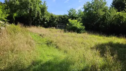 Grundstück im Sommer