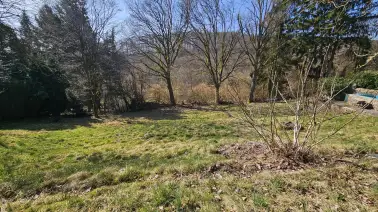 Grundstück im Herbst
