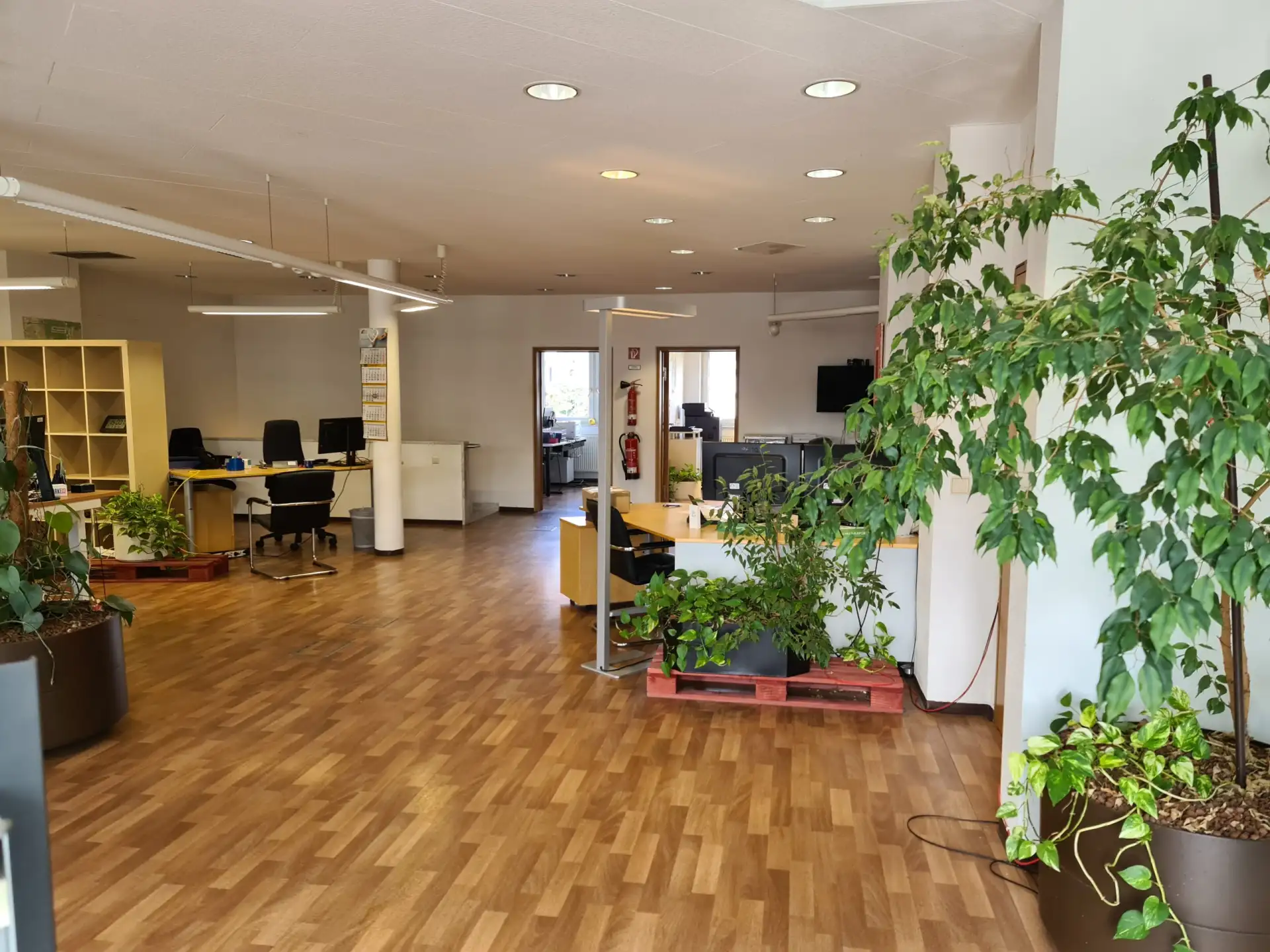 Büro / Praxis in Mannheim, Universitätsstadt, Bild 2