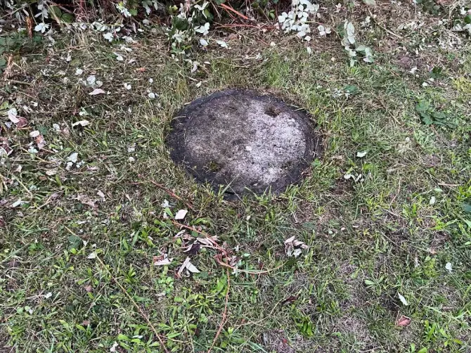 Grundstück in Rastatt, Bild 2