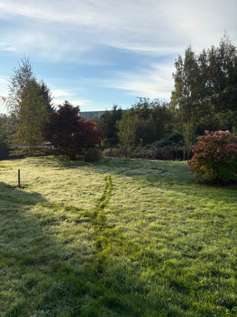 Grundstück in Stollberg/Erzgeb., Bild 2
