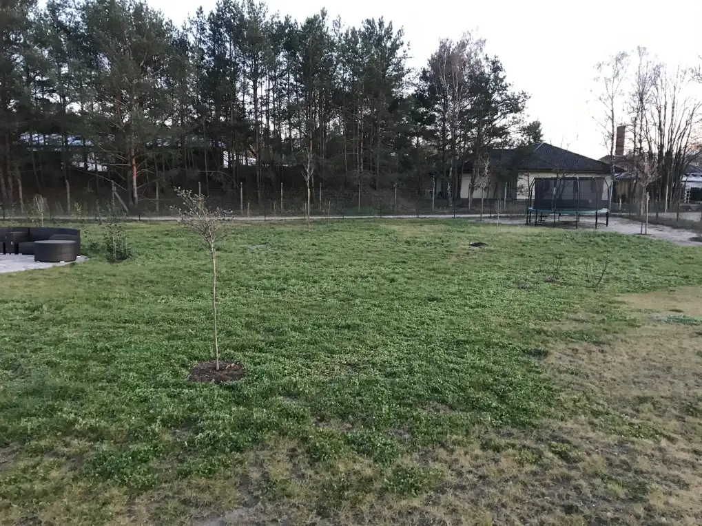 Grundstück in Marienwerder-Ruhlsdorf, Bild 2